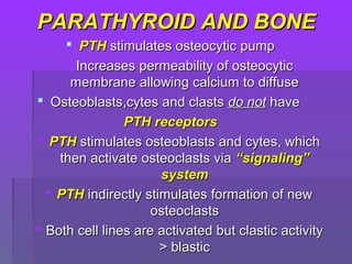 PARATHYROID AND BONEPARATHYROID AND BONE
 PTHPTH stimulates osteocytic pumpstimulates osteocytic pump
 Increases permeability of osteocyticIncreases permeability of osteocytic
membrane allowing calcium to diffusemembrane allowing calcium to diffuse
 Osteoblasts,cytes and clastsOsteoblasts,cytes and clasts do notdo not havehave
PTH receptorsPTH receptors
 PTHPTH stimulates osteoblasts and cytes, whichstimulates osteoblasts and cytes, which
then activate osteoclasts viathen activate osteoclasts via “signaling”“signaling”
systemsystem
 PTHPTH indirectly stimulates formation of newindirectly stimulates formation of new
osteoclastsosteoclasts
 Both cell lines are activated but clastic activityBoth cell lines are activated but clastic activity
> blastic> blastic
 