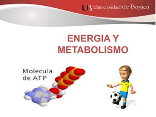 ENERGIA Y
METABOLISMO
 