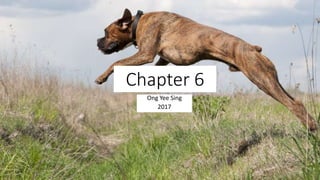 Chapter 6
Ong Yee Sing
2017
 