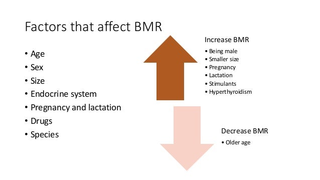 bmr basal metabolic rate en espaГ±ol