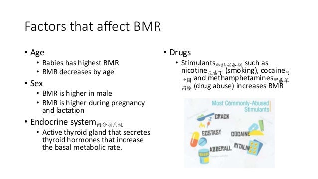 6 2 3 Basal Metabolic Rate