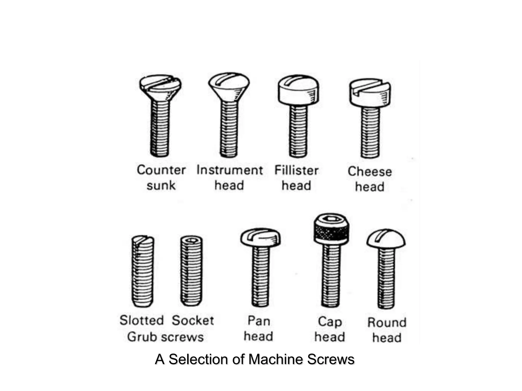 A Selection of Machine Screws
 