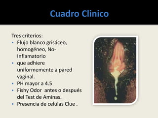 Tres criterios:
 Flujo blanco grisáceo,
homogéneo, No-
Inflamatorio
 que adhiere
uniformemente a pared
vaginal.
 PH mayor a 4.5
 Fishy Odor antes o después
del Test de Aminas.
 Presencia de celulas Clue .
 
