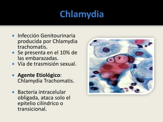  Infección Genitourinaria
producida por Chlamydia
trachomatis.
 Se presenta en el 10% de
las embarazadas.
 Vía de trasmisión sexual.
 Agente Etiológico:
Chlamydia Trachomatis.
 Bacteria intracelular
obligada, ataca solo el
epitelio cilíndrico o
transicional.
 