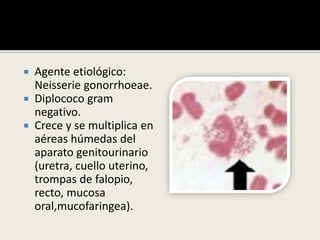  Agente etiológico:
Neisserie gonorrhoeae.
 Diplococo gram
negativo.
 Crece y se multiplica en
aéreas húmedas del
aparato genitourinario
(uretra, cuello uterino,
trompas de falopio,
recto, mucosa
oral,mucofaringea).
 
