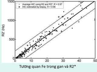 T ng quan Fe trong gan và R2*ươ
 