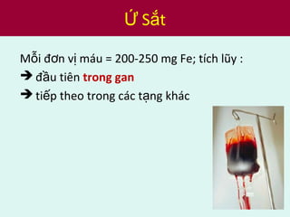 M i đ n v máu = 200-250 mg Fe; tích lũy :ỗ ơ ị
 đ u tiênầ trong gan
 ti p theo trong các t ng khácế ạ
S tỨ ắ
 