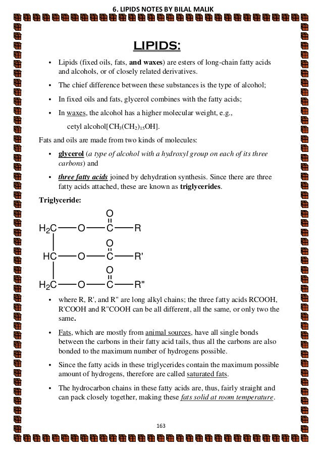 term paper on lipids