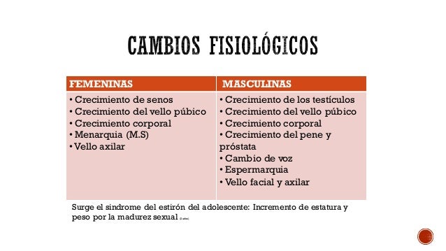 Desarrollo Físico Cognitivo Y Psicosocial En La Adolescencia
