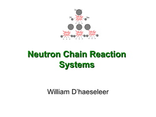 Neutron Chain ReactionNeutron Chain Reaction
SystemsSystems
William D’haeseleer
 