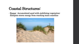 Coastal Structures:
• Dunes: Accumulated sand with stabilizing vegetation;
dissipate storm energy from reaching main coastline
 