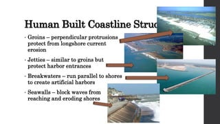 Human Built Coastline Structures
• Groins – perpendicular protrusions
protect from longshore current
erosion
• Jetties – similar to groins but
protect harbor entrances
• Breakwaters – run parallel to shores
to create artificial harbors
• Seawalls – block waves from
reaching and eroding shores
 