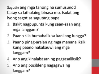 Sagutin ang mga tanong na sumusunod
batay sa lathalaing binasa mo. Isulat ang
iyong sagot sa sagutang papel.
1. Bakit nagpupunta kung saan-saan ang
mga langgam?
2. Paano sila bumabalik sa kanilang lungga?
3. Paano pinag-aralan ng mga mananaliksik
kung paano nakakauwi ang mga
langgam?
4. Ano ang kinalabasan ng pagsasaliksik?
5. Ano ang posibleng nagagawa ng
langgam?
 