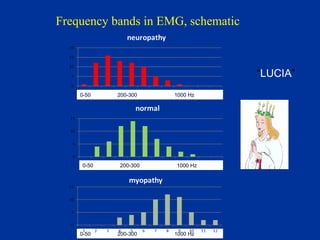 Frequency bands in EMG, schematic
0-50 200-300 1000 Hz
“LUCIA”
0-50 200-300 1000 Hz
0-50 200-300 1000 Hz
 