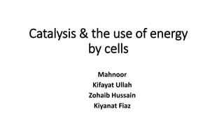Catalysis & the use of energy
by cells
Mahnoor
Kifayat Ullah
Zohaib Hussain
Kiyanat Fiaz
 