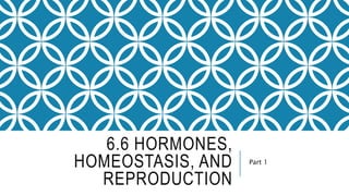 6.6 HORMONES,
HOMEOSTASIS, AND
REPRODUCTION
Part 1
 