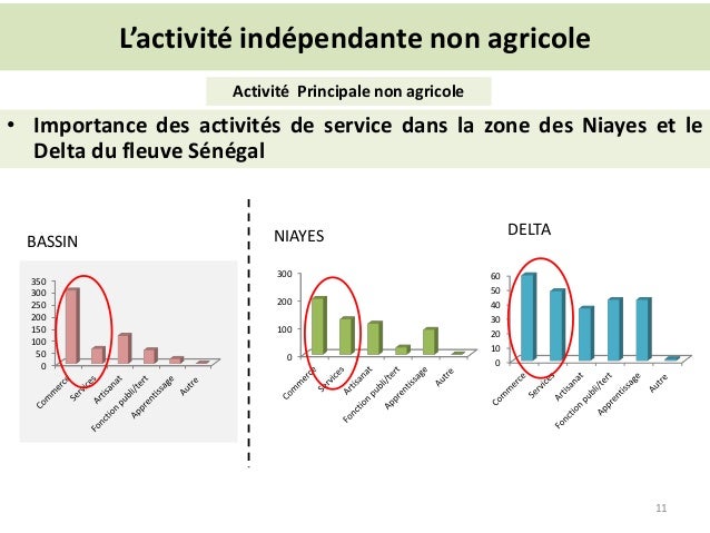 L’activité indépendante non agricole
0
50
100
150
200
250
300
350
0
100
200
300
0
10
20
30
40
50
60
Activité Principale no...