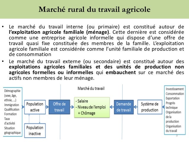 Marché rural du travail agricole
• Le marché du travail interne (ou primaire) est constitué autour de
l’exploitation agric...
