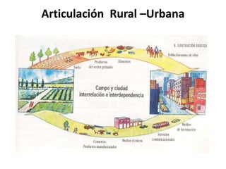 Articulación Rural –Urbana
 