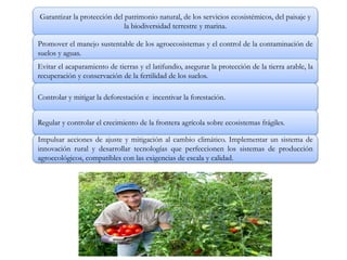 Garantizar la protección del patrimonio natural, de los servicios ecosistémicos, del paisaje y
la biodiversidad terrestre y marina.
Promover el manejo sustentable de los agroecosistemas y el control de la contaminación de
suelos y aguas.
Evitar el acaparamiento de tierras y el latifundio, asegurar la protección de la tierra arable, la
recuperación y conservación de la fertilidad de los suelos.
Controlar y mitigar la deforestación e incentivar la forestación.
Regular y controlar el crecimiento de la frontera agrícola sobre ecosistemas frágiles.
Impulsar acciones de ajuste y mitigación al cambio climático. Implementar un sistema de
innovación rural y desarrollar tecnologías que perfeccionen los sistemas de producción
agroecológicos, compatibles con las exigencias de escala y calidad.
 