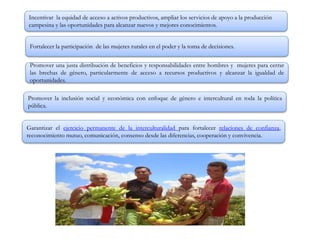 Incentivar la equidad de acceso a activos productivos, ampliar los servicios de apoyo a la producción
campesina y las oportunidades para alcanzar nuevos y mejores conocimientos.
Fortalecer la participación de las mujeres rurales en el poder y la toma de decisiones.
Promover una justa distribución de beneficios y responsabilidades entre hombres y mujeres para cerrar
las brechas de género, particularmente de acceso a recursos productivos y alcanzar la igualdad de
oportunidades.
Promover la inclusión social y económica con enfoque de género e intercultural en toda la política
pública.
Garantizar el ejercicio permanente de la interculturalidad para fortalecer relaciones de confianza,
reconocimiento mutuo, comunicación, consenso desde las diferencias, cooperación y convivencia.
 
