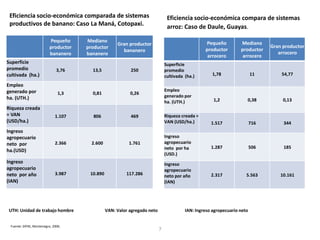 7
Eficiencia socio-económica comparada de sistemas
productivos de banano: Caso La Maná, Cotopaxi.
Eficiencia socio-económica compara de sistemas
arroz: Caso de Daule, Guayas.
UTH: Unidad de trabajo hombre VAN: Valor agregado neto IAN: Ingreso agropecuario neto
Fuente: SIPAE, Montenegro, 2006.
Pequeño
productor
bananero
Mediano
productor
bananero
Gran productor
bananero
Superficie
promedio
cultivada (ha.)
3,76 13,5 250
Empleo
generado por
ha. (UTH.)
1,3 0,81 0,26
Riqueza creada
= VAN
(USD/ha.)
1.107 806 469
Ingreso
agropecuario
neto por
ha.(USD)
2.366 2.600 1.761
Ingreso
agropecuario
neto por año
(IAN)
3.987 10.890 117.286
Pequeño
productor
arrocero
Mediano
productor
arrocero
Gran productor
arrocero
Superficie
promedio
cultivada (ha.) 1,78 11 54,77
Empleo
generado por
ha. (UTH.) 1,2 0,38 0,13
Riqueza creada =
VAN (USD/ha.) 1.517 716 344
Ingreso
agropecuario
neto por ha
(USD.)
1.287 506 185
Ingreso
agropecuario
neto por año
(IAN)
2.317 5.563 10.161
 