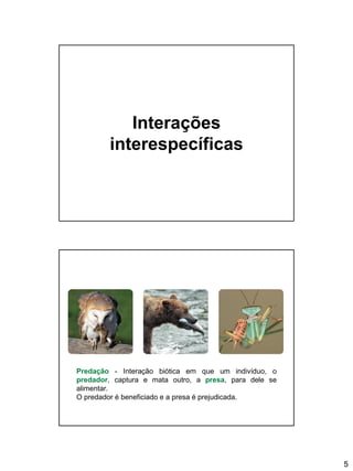 5
Interações
interespecíficas
Predação - Interação biótica em que um indivíduo, o
predador, captura e mata outro, a presa, para dele se
alimentar.
O predador é beneficiado e a presa é prejudicada.
 