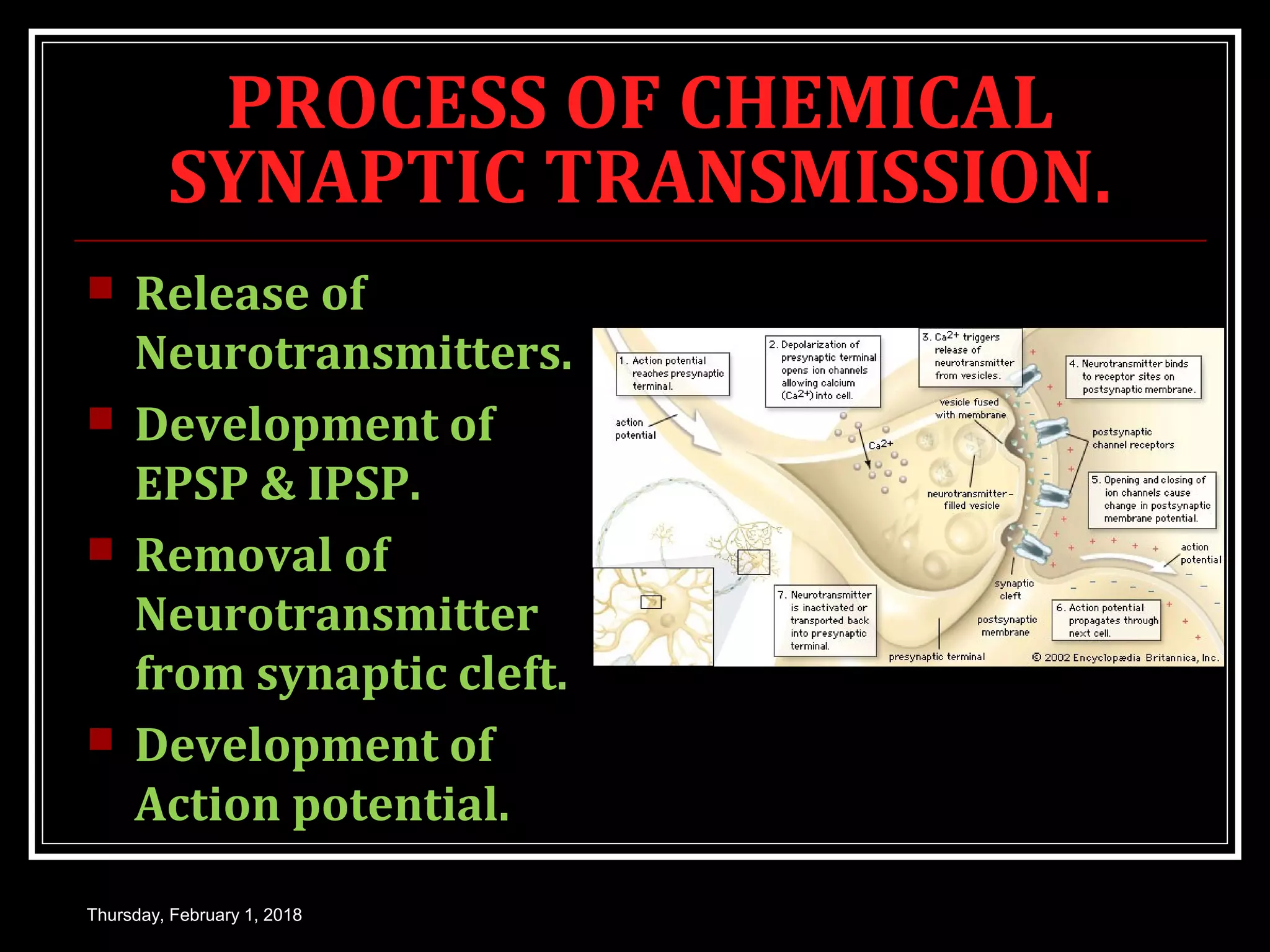PROCESS OF CHEMICAL
SYNAPTIC TRANSMISSION.
 Release of
Neurotransmitters.
 Development of
EPSP & IPSP.
 Removal of
Neurotransmitter
from synaptic cleft.
 Development of
Action potential.
Thursday, February 1, 2018
 