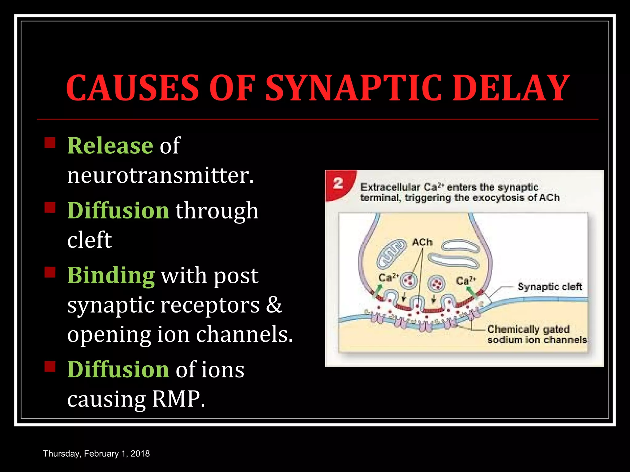 CAUSES OF SYNAPTIC DELAY
 Release of
neurotransmitter.
 Diffusion through
cleft
 Binding with post
synaptic receptors &
opening ion channels.
 Diffusion of ions
causing RMP.
Thursday, February 1, 2018
 