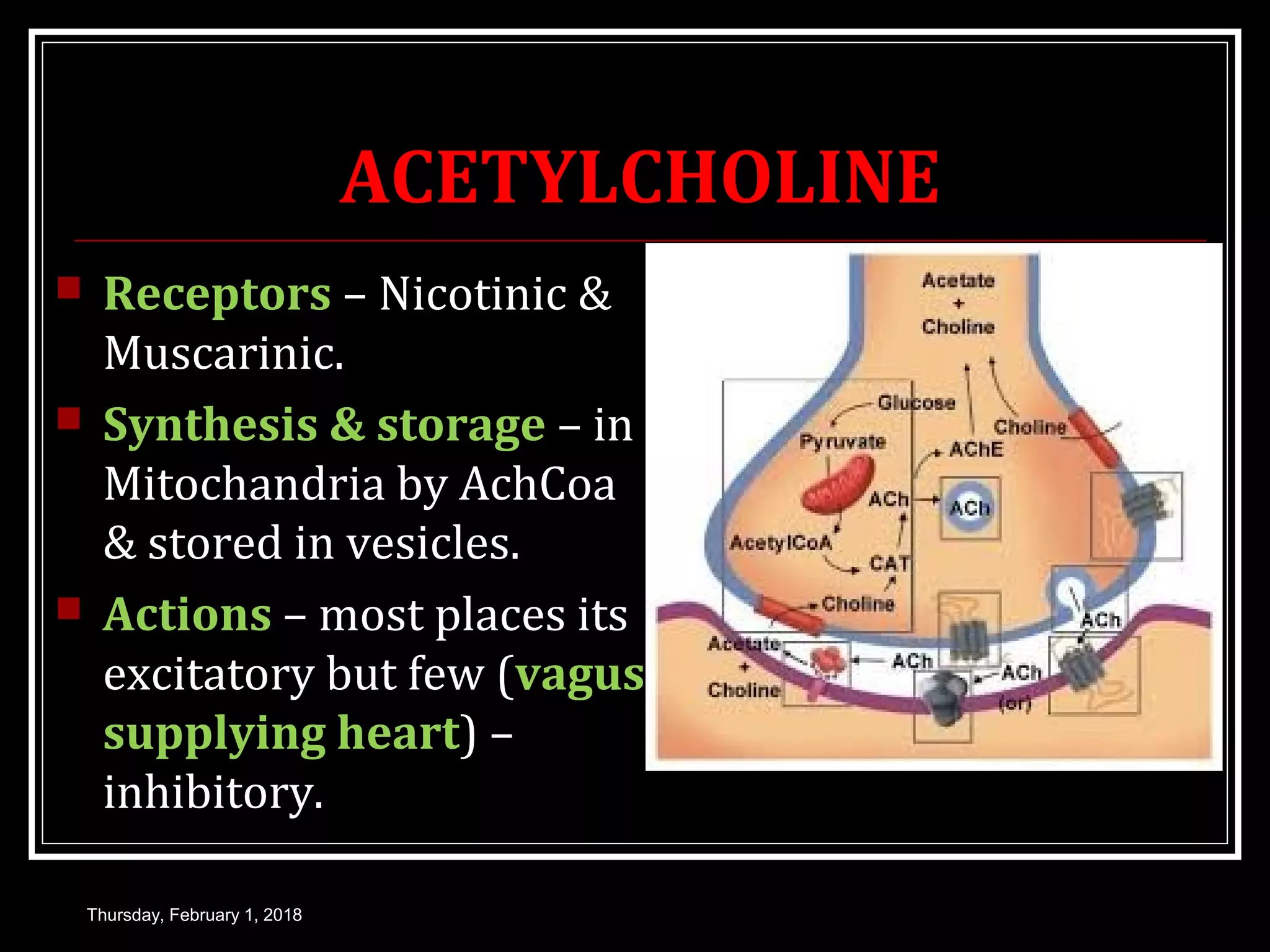 ACETYLCHOLINE
 Receptors – Nicotinic &
Muscarinic.
 Synthesis & storage – in
Mitochandria by AchCoa
& stored in vesicles.
 Actions – most places its
excitatory but few (vagus
supplying heart) –
inhibitory.
Thursday, February 1, 2018
 