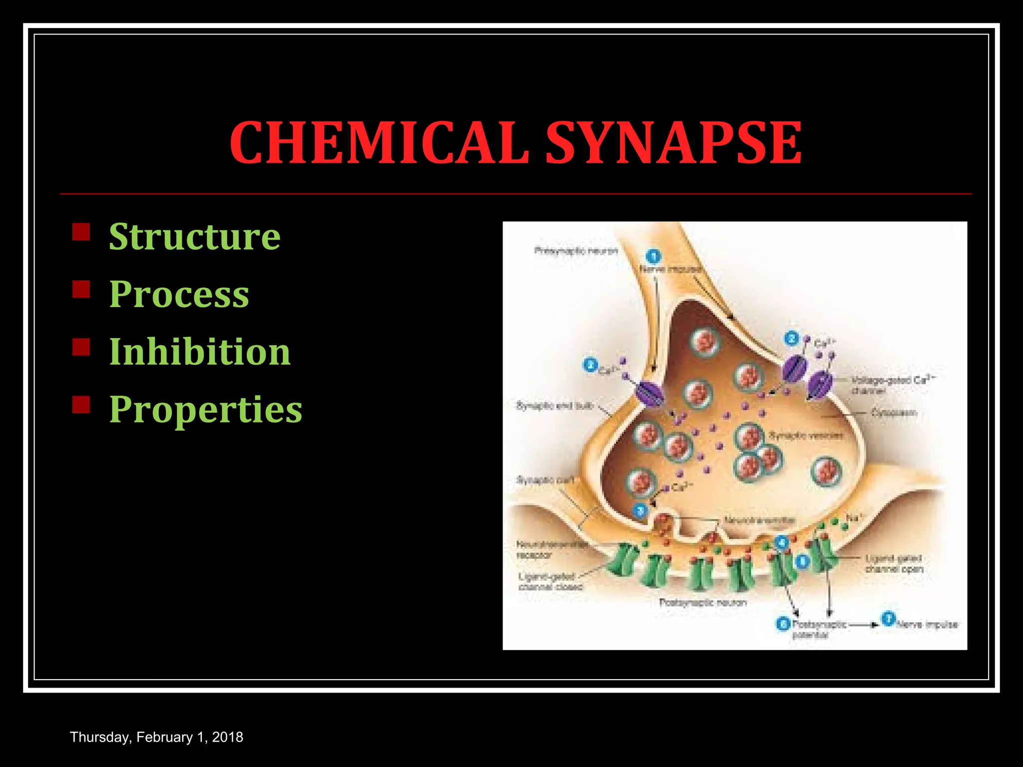 CHEMICAL SYNAPSE
 Structure
 Process
 Inhibition
 Properties
Thursday, February 1, 2018
 