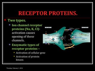 RECEPTOR PROTEINS.
 Two types.
 Ion channel receptor
proteins (Na, K, Cl)-
activation causes
opening of these
channels.
 Enzymatic types of
receptor proteins –
 Activation of cellular gene
 Activation of protein
kinase.
Thursday, February 1, 2018
 