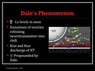 Dale’s Phenomenon.
 Ca levels in axon
 Exocytosis of vesicles
releasing
neurotransmitter into
cleft.
 Kiss and Run
discharge of NT
 1st
Propounded by
Dale.
Thursday, February 1, 2018
 