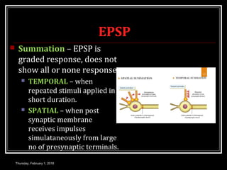 EPSP
 Summation – EPSP is
graded response, does not
show all or none response.
 TEMPORAL – when
repeated stimuli applied in
short duration.
 SPATIAL – when post
synaptic membrane
receives impulses
simulataneously from large
no of presynaptic terminals.
Thursday, February 1, 2018
 