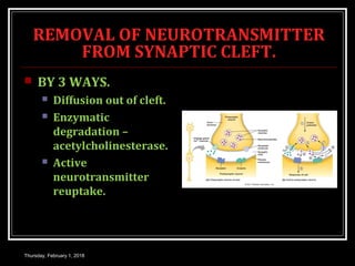 REMOVAL OF NEUROTRANSMITTER
FROM SYNAPTIC CLEFT.
 BY 3 WAYS.
 Diffusion out of cleft.
 Enzymatic
degradation –
acetylcholinesterase.
 Active
neurotransmitter
reuptake.
Thursday, February 1, 2018
 
