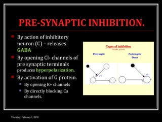 PRE-SYNAPTIC INHIBITION.
 By action of inhibitory
neuron (C) – releases
GABA
 By opening Cl- channels of
pre synaptic terminals
produces hyperpolarization.
 By activation of G protein.
 By opening K+ channels
 By directly blocking Ca
channels.
Thursday, February 1, 2018
 