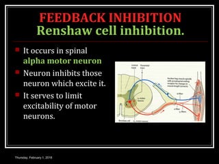 FEEDBACK INHIBITION
Renshaw cell inhibition.
 It occurs in spinal
alpha motor neuron
 Neuron inhibits those
neuron which excite it.
 It serves to limit
excitability of motor
neurons.
Thursday, February 1, 2018
 