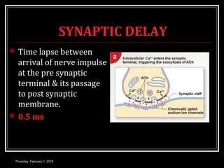 SYNAPTIC DELAY
 Time lapse between
arrival of nerve impulse
at the pre synaptic
terminal & its passage
to post synaptic
membrane.
 0.5 ms
Thursday, February 1, 2018
 