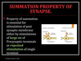 SUMMATION PROPERTY OF
SYNAPSE.
 Property of summation
is essential for
stimulation of post
synaptic membrane
either by stimulations
of large no of
Presynaptic terminals
or repeated
stimulation of single
terminal.
Thursday, February 1, 2018
 