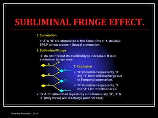SUBLIMINAL FRINGE EFFECT.
Thursday, February 1, 2018
 