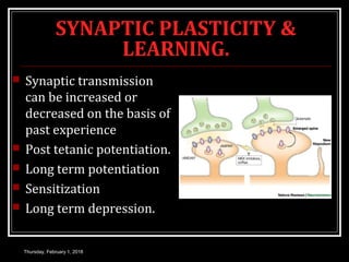 SYNAPTIC PLASTICITY &
LEARNING.
 Synaptic transmission
can be increased or
decreased on the basis of
past experience
 Post tetanic potentiation.
 Long term potentiation
 Sensitization
 Long term depression.
Thursday, February 1, 2018
 
