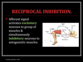 RECIPROCAL INHIBITION.
 Afferent signal
activates excitatory
neurons to group of
muscles &
simultaneously
inhibitory neurons to
antagonistic muscles.
Thursday, February 1, 2018
 