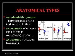 ANATOMICAL TYPES
 Axo-dendritic synapse
– between axon of one
to dendrite of other.
 Axo-somatic – between
axon of one to
soma(body) of other.
 Axo-axonic – between
two axons.
Thursday, February 1, 2018
 