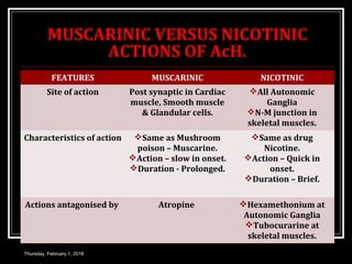 MUSCARINIC VERSUS NICOTINIC
ACTIONS OF AcH.
FEATURES MUSCARINIC NICOTINIC
Site of action Post synaptic in Cardiac
muscle, Smooth muscle
& Glandular cells.
All Autonomic
Ganglia
N-M junction in
skeletal muscles.
Characteristics of action Same as Mushroom
poison – Muscarine.
Action – slow in onset.
Duration - Prolonged.
Same as drug
Nicotine.
Action – Quick in
onset.
Duration – Brief.
Actions antagonised by Atropine Hexamethonium at
Autonomic Ganglia
Tubocurarine at
skeletal muscles.
Thursday, February 1, 2018
 