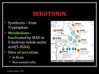 SEROTONIN.
 Synthesis – from
Tryptophan.
 Metabolism –
Inactivated by MAO to
5-hydroxy indole acetic
acid(5-HIAA)
 Sites of secretion
 In Brain
 Non-neural cells.
Thursday, February 1, 2018
 