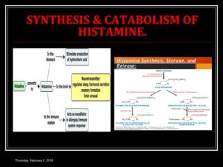 SYNTHESIS & CATABOLISM OF
HISTAMINE.
Thursday, February 1, 2018
 
