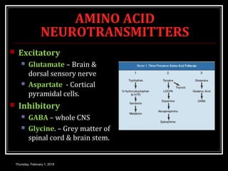 AMINO ACID
NEUROTRANSMITTERS
 Excitatory
 Glutamate – Brain &
dorsal sensory nerve
 Aspartate - Cortical
pyramidal cells.
 Inhibitory
 GABA – whole CNS
 Glycine. – Grey matter of
spinal cord & brain stem.
Thursday, February 1, 2018
 