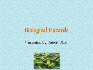Biological Hazards
Presented by: Amen Ullah
 