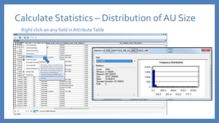 Calculate Statistics – Distribution of AU Size
Right click on any field in AttributeTable
 