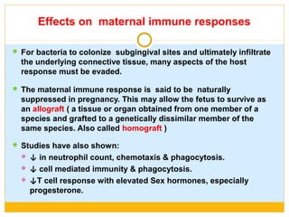 Effects on maternal immune responses
 For bacteria to colonize subgingival sites and ultimately infiltrate
the underlying connective tissue, many aspects of the host
response must be evaded.
 The maternal immune response is said to be naturally
suppressed in pregnancy. This may allow the fetus to survive as
an allograft ( a tissue or organ obtained from one member of a
species and grafted to a genetically dissimilar member of the
same species. Also called homograft )
 Studies have also shown:
 ↓ in neutrophil count, chemotaxis & phagocytosis.
 ↓ cell mediated immunity & phagocytosis.
 ↓T cell response with elevated Sex hormones, especially
progesterone.
 